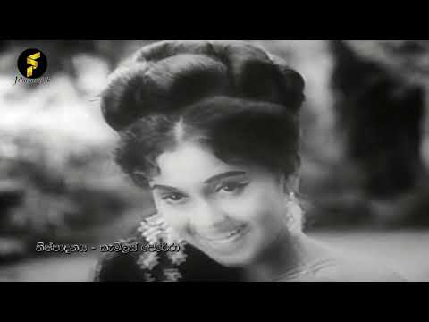 Hindi song Sinhala song Compilation 127 Jiwitaye kantare-Suhada patuma-Kanchere kanchir-Harerama H.K