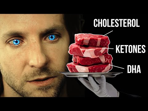 Does The Carnivore Diet Make You Smarter?