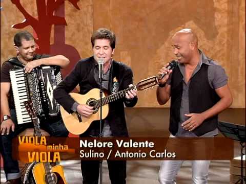 Viola Minha Viola | Nelore Valente, por Daniel e Rick Sollo