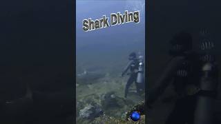 🦈 Shark Diving 🤿 #Shorts