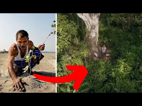 One Man Planted A Tree Every Day — 40 Years Later, He Grew An Entire Forest.