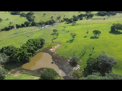 32 alqueires de cultura apenas 50 km de Goiânia R$ 350.000,00 por alqueires 
