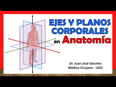 🥇 BODY PLANES AND AXES in Anatomy. Easy, Fast and Simple!