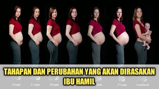 Download lagu Stages of Pregnancy and Changes That Pregnant Women Will Experience mp3