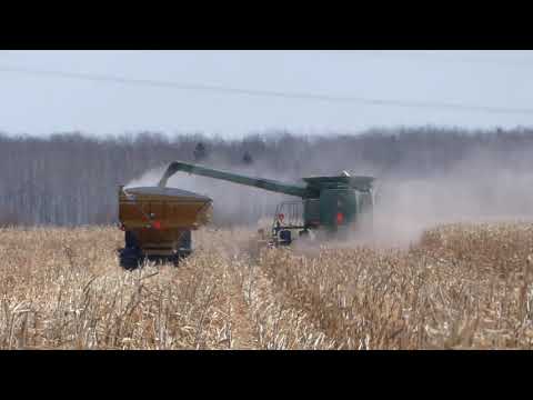 Spring 2020 Corn Harvest