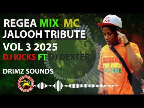 DJ KICKS FT DJ DEXTER  MC JALOOH TRIBUTE VOL 3 REGGAE 2025 ♥️💛💚