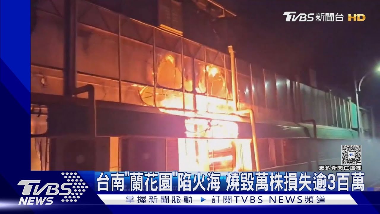 台南「蘭花園」陷火海! 燒毀萬株損失逾3百萬