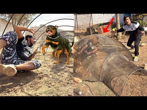 Mamu Ko Rottweiler Ky Cage Mein Dal Dea 😰 Punishment Done 😡