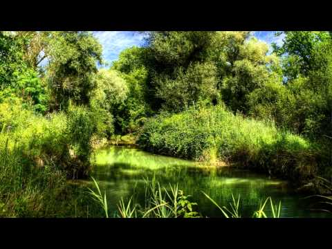 Nuera - Nocturne [Original Mix]