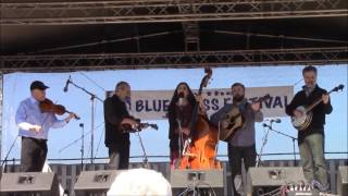 JOHN  REISCHMAN AND THE JAYBIRDS @ Blythe Bluegrass Festival /    