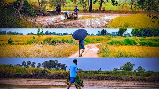 Download lagu VILLAGE FARMING Edit | Only Bikash mp3