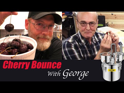 CHERRY BOUNCE + GEORGE Is BACK!