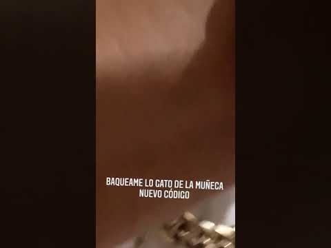 La Manta Le Tira A To El Genero x el tema de Yomel y Rochy vakeamea #LosPerrosrmx