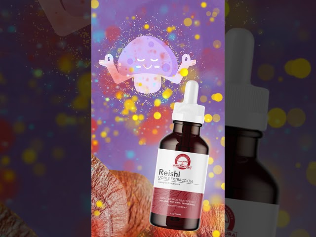 Vídeo relacionado con Extracto de Reishi Ecológico 12000 mg (20:1) - 50% Polisacáridos, 20% Beta-Glucanos, 2% Triterpenos (Ganoderma Lucidum) - 180 Cápsulas Veganas (6 Meses) - Sin Aditivos, Sin OGM - Zenement