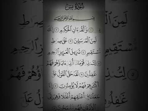 36. Surah Yaseen by As sheikh Ayub  Beautiful recitation ( NO Ads)