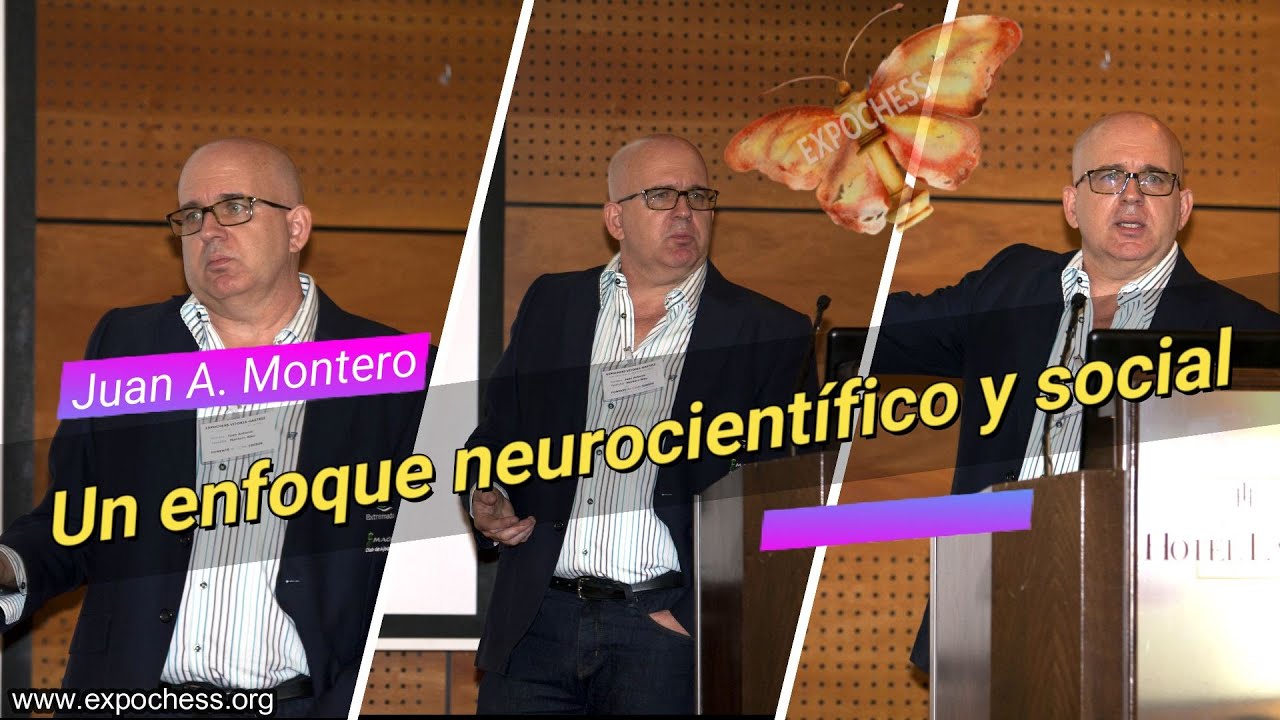 Juan Antonio Montero - Ponencia: Un enfoque
              neurocientífico y social