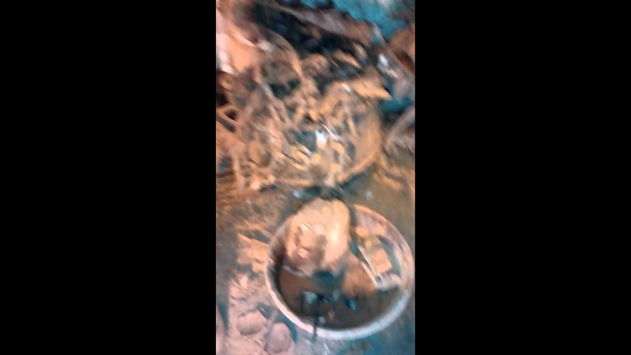 Doctor Buzzard Nganga - Tel: (404) 400-2434