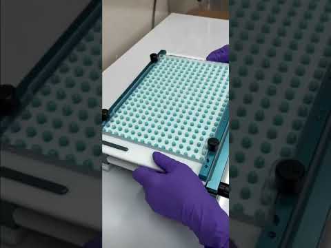 This is how a capsule is made in the Pharmaceutical Industry!