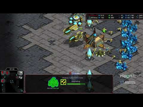 BSL 13 Hasuleague Semifinal White v Masucci game 1