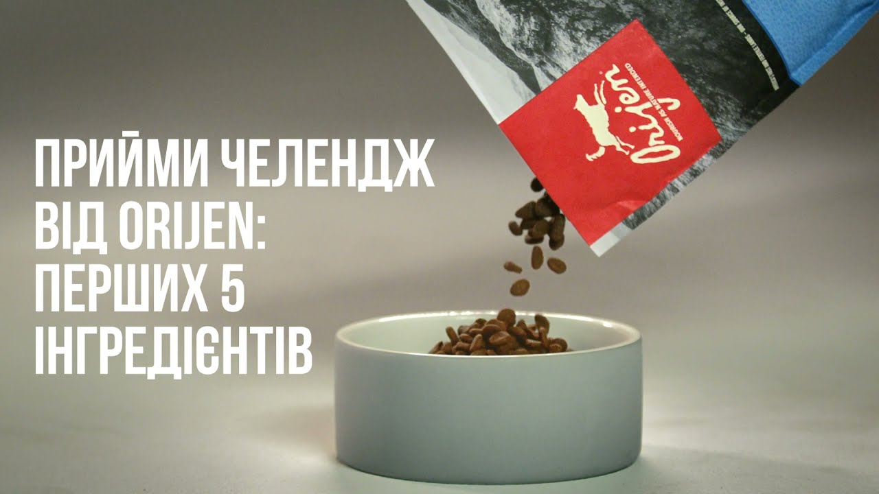Сухий корм ORIJEN Puppy з м’ясом для цуценят усіх порід, 340 г