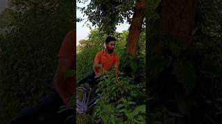 Download lagu hamkomaro 2023#vairal #sort #tendingvideo #youtube mp3