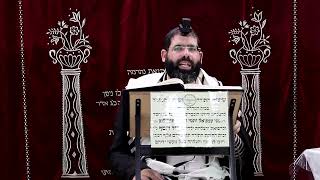 זבחים דף ע"ג ע"א ¤ הרב נתנאל אברז'ל ¤ בית הכנסת "בית מרדכי" (מוסדות תורת דוד) - התמונה מוצגת ישירות מתוך אתר האינטרנט יוטיוב. זכויות היוצרים בתמונה שייכות ליוצרה. קישור קרדיט למקור התוכן נמצא בתוך דף הסרטון