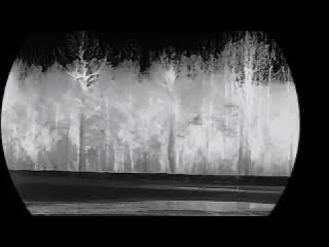Coon hunting ..using a thermal …Best Thermal under $1000!!!! Rix K3 thermal