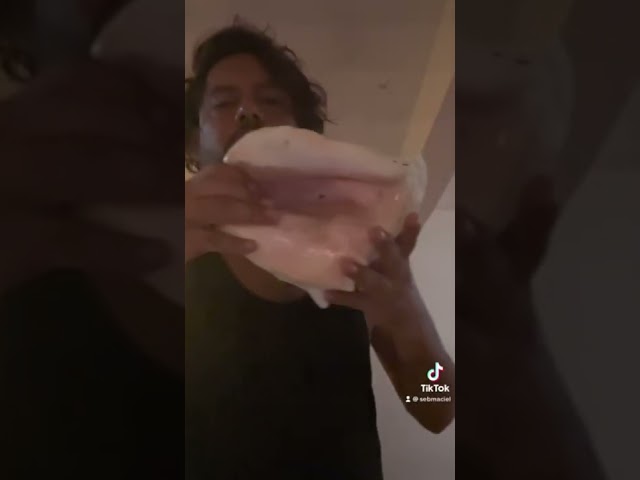 Vídeo relacionado con El sonido de una caracol salvaje al comer (ENSAYO)
