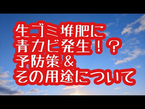 堆肥中のカビ：不快な影響を避けるには？  庭園