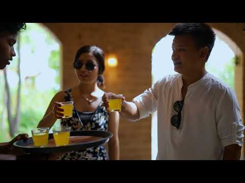 Stay in Nature's Lap 🌿 | Vrruksh Eco Stay Near Tadoba Andhari Tiger Reserve 🐯