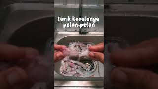 Download lagu tutorial bersihkan tinta hitam cumi-cumi mp3