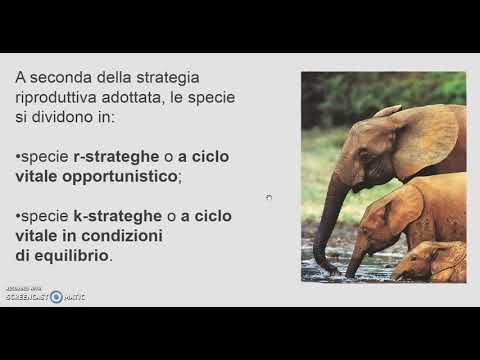 BIOLOGIA   VIDEOLEZIONE 7   LE POPOLAZIONI