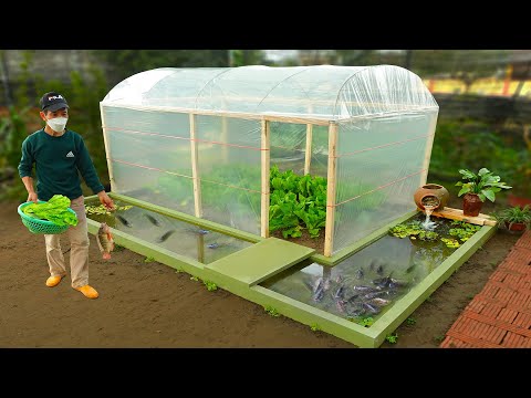 , title : 'DIY cheap greenhouse combined with aquarium for my wife | Organic vegetables'