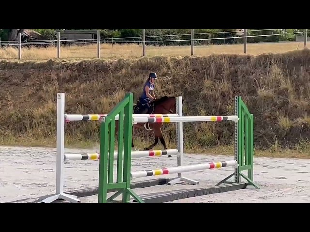 Top jument 4 ans
