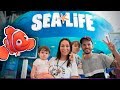 Aquario Sea Life Em Orlando Familia Brancoala