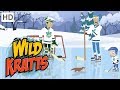 Wild Kratts ️ An Icy Holiday Adventure Kids Videos