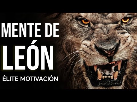 ELON TE AMA and Mentalidad y Poder