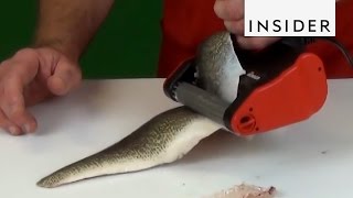 Easy Fish Skinner Tool