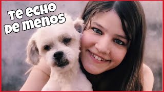 Te Echo De Menos - Beatriz Luengo (carta a mi perro) | Natuchys