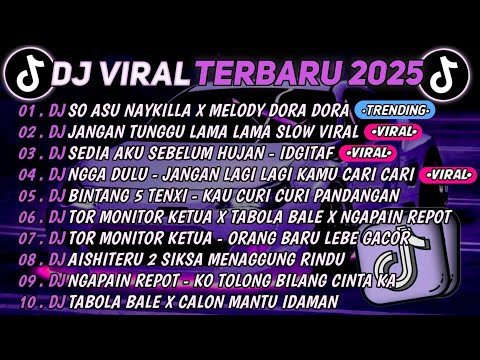 DJ TIKTOK TERBARU 2025🎵DJ SO ASU X MELODY DORA DORA🎵DJ JANGAN TUNGGU LAMA LAMA || FULL ALBUM 