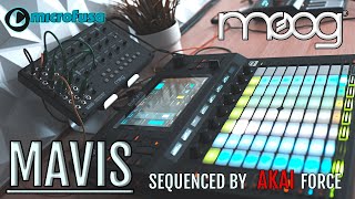🎛️ MOOG MAVIS 🎛️ SEQUENCED BY AKAI FORCE