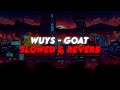 WUYS Goat SLOWED REVERB