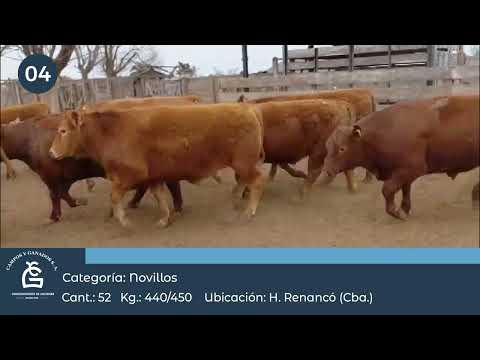 Lote Nv Consumo - Villa Huidobro Córdoba
