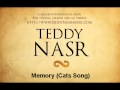 Instrumental / Karaoke - Memory / Cats Song ...