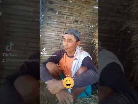 vidio-kocak-mas-no-promosi-chanel