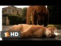 Cats Dogs 1 10 Movie CLIP Catnapped 2001 HD