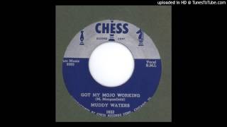 Muddy Waters - Got My Mojo Working - 1956