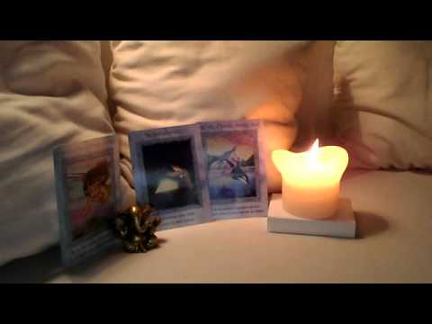 Wochenreading vom 19.-25.11.13