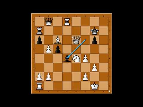 Karpov : Besmrtna partija uz Topovsku paljbu ☆☆☆☆☆ KARPOV vs TOPALOV   # 1737