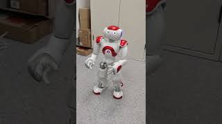 FungYang doing a demo on Humanoid Nao Robot
